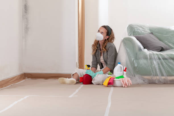 Reliable Mold Removal contractor in Chester, VA by WQB Mold Removal